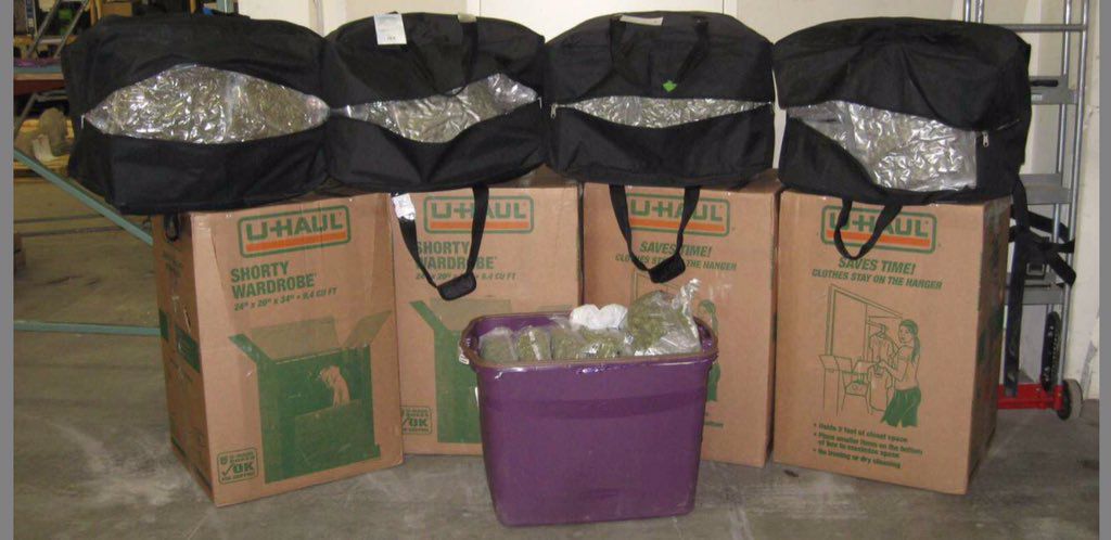 515 pounds of marijuana